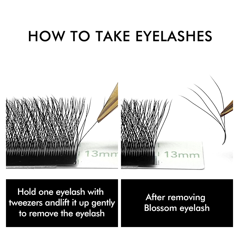 NATUHANA Extensions de cils en - Eyelash Extension Fan avis et prix